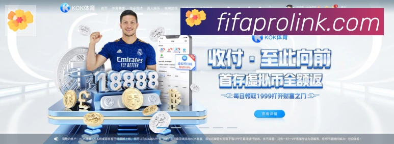 美加墨世界杯买球入口平台生态图