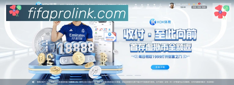 美加墨世界杯买球入口品牌故事